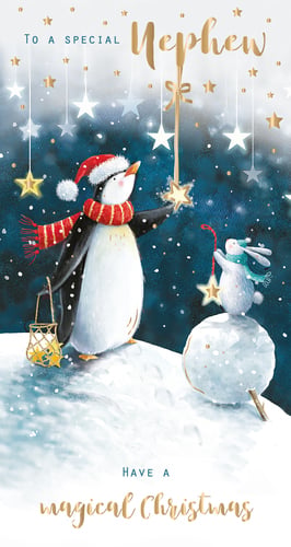 A Christmas card for a special nephew that says "Have a magical Christmas."