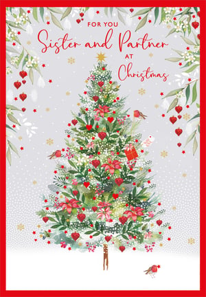 A Christmas card that says "For your sister and partner at Christmas."