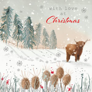 A Christmas card that says "With love, at Christmas."
