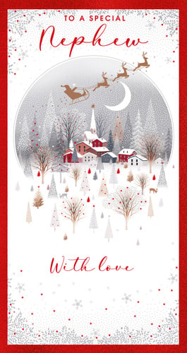 A Christmas card to a special nephew, with love.