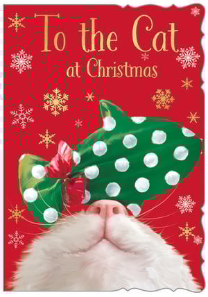 A Christmas card that says "to the cat at Christmas."