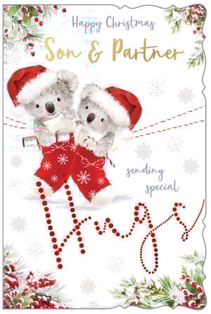 A Christmas card that says "Happy Christmas, son and partner."