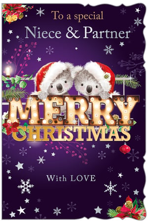 A Christmas card for a special niece and partner.