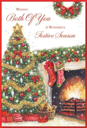 A Christmas card wishing both of you a wonderful festive season.