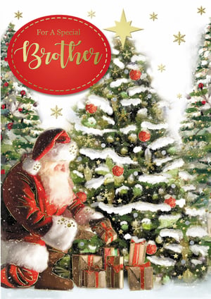 A Christmas card that says "for a special brother."