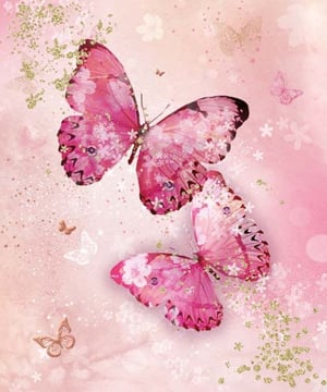 Two pink butterflies are flying on a pink background surrounded by flowers.