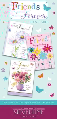 A box of Forever Open Cards by Silverline IS friends forever.