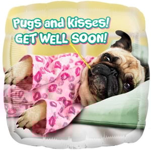 A pug with a thermometer in its mouth is on a balloon that says "Pugs and kisses, get well soon."