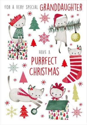 For a very special granddaughter, have a purrfect Christmas.
