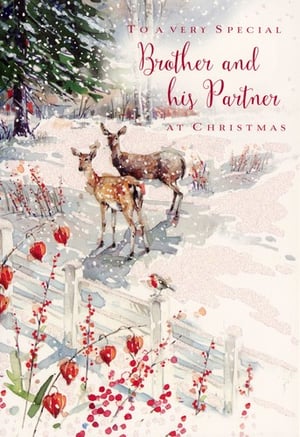 A Christmas card that says "To a very special brother and his partner at Christmas."