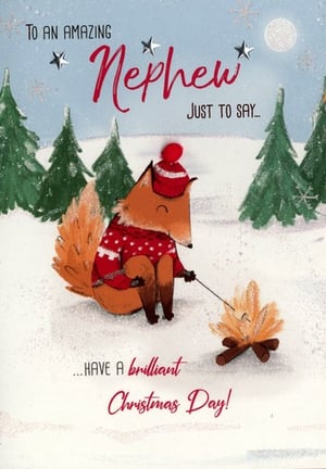 To an amazing nephew, just to say, have a brilliant Christmas day.