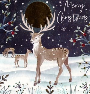 A Merry Christmas card with a deer in the snow.