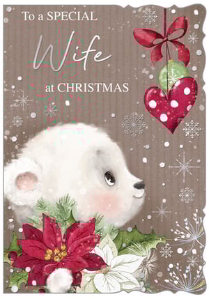 A Christmas card that says "To a special wife at Christmas."