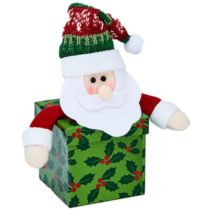 A stuffed Santa Claus peeked out of a green box.
