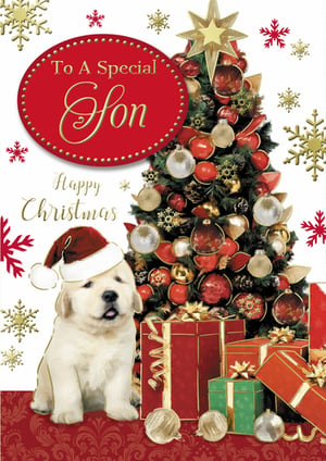 A Christmas card that says "to a special son."