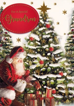 A Christmas card that says "For a special grandson."