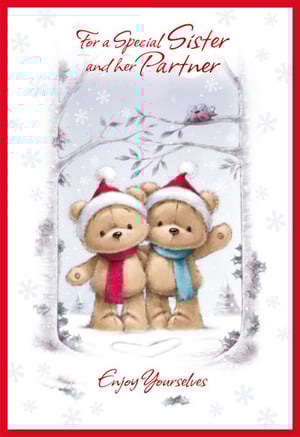 A Christmas card for a special sister and her partner.