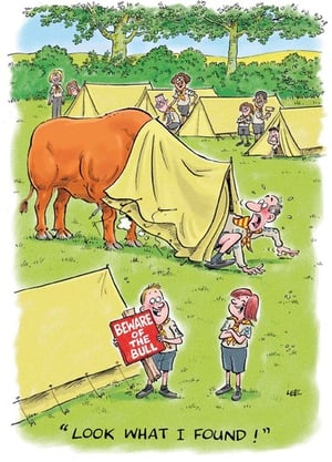 A cartoon shows a man holding a sign that says, "Beware of the bull."