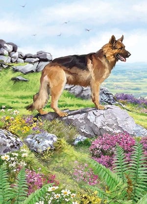 A German Shepherd is standing on a rock in a field of flowers.