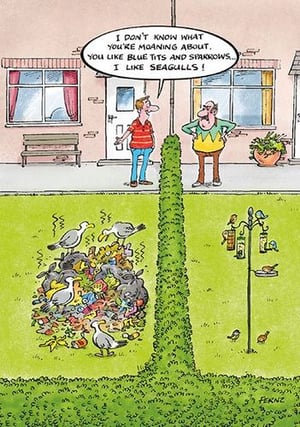 A cartoon of a man standing next to a pile of seagulls.