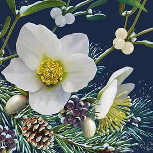 a painting of a white flower surrounded by pine cones and mistletoe .