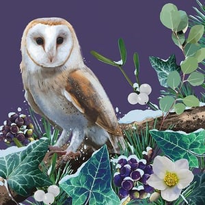 a barn owl is sitting on a branch surrounded by flowers and leaves .