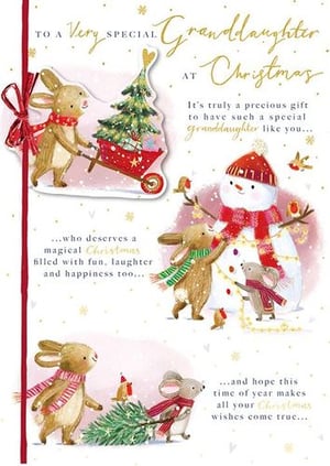 to a very special granddaughter at christmas it 's truly a precious gift to have such a special granddaughter like you .