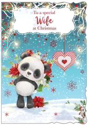 a christmas card with a panda bear and the words to a special wife at christmas