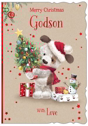 a card that says merry christmas godson with love
