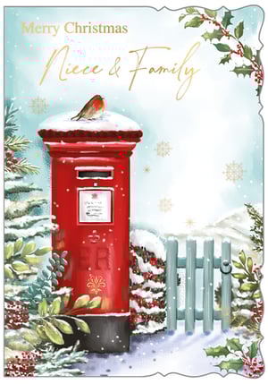 a merry christmas card for a niece and family