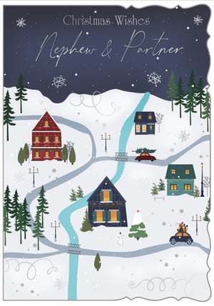 a christmas card for a nephew and partner