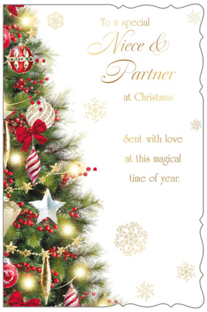 to a special niece and partner at christmas sent with love at this magical time of year .