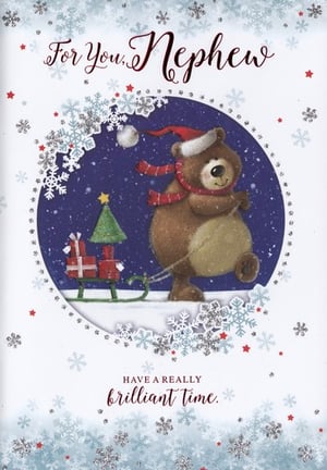 a christmas card for a nephew with a teddy bear pulling a sled