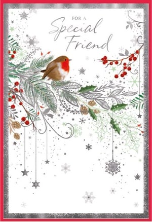 a christmas card for a special friend with a bird on a branch