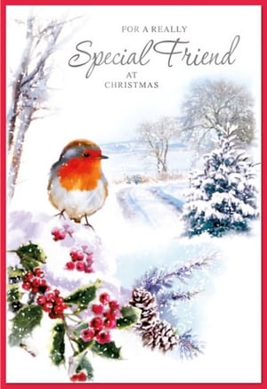a christmas card for a really special friend