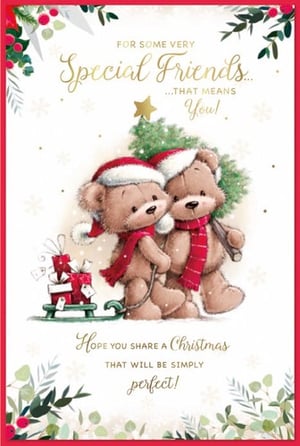 a christmas card that says for some very special friends that means you