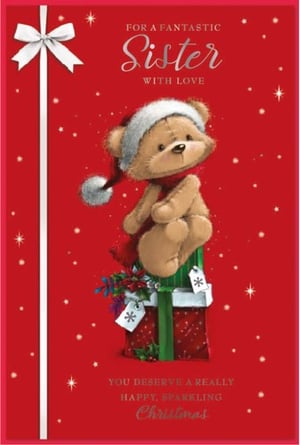 a teddy bear wearing a santa hat is sitting on top of a christmas present .