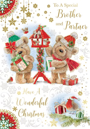 a christmas card that says to a special brother and partner