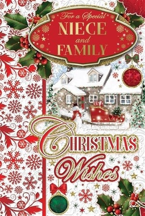 a christmas card for a special niece and family