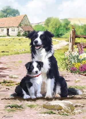 A painting of a border collie and her puppy.