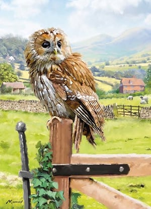 A painting of an owl perched on a wooden fence post in a field.
