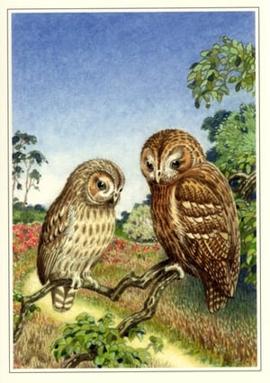 a painting of two owls sitting on a branch