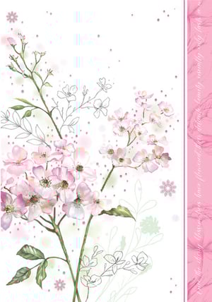 No grammatical errors.