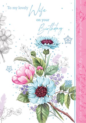 A birthday card that says, "To my lovely wife, on your birthday."