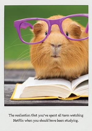 a guinea pig wearing glasses is sitting on top of an open book .
