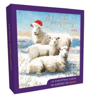 a box of christmas cards for east anglia 's children 's hospice