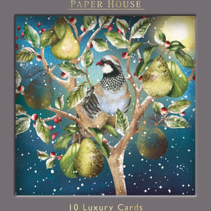 a paper house luxury card with a bird in a pear tree
