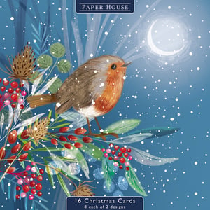a paper house christmas card with a bird on it