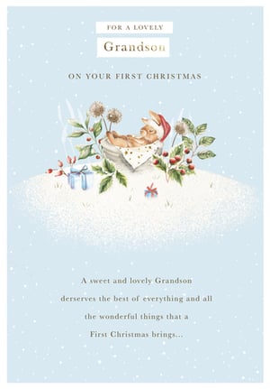 for a lovely grandson on your first christmas