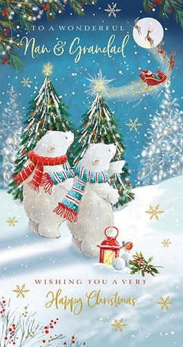 a christmas card for a wonderful nan and grandad wishing you a very happy christmas .